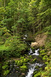 Image d'un torrent de montagne dans la fort de Septmoncel - Jura