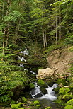 Photograph of a little stream cascading in the forest of french Jura