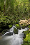 Picture with little stream and cascades in Jura forest near Septmoncel