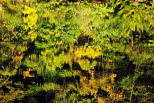 Image de reflets d'automne dans l'eau du Rhône