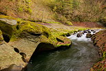 Photographie du torrent du Chran en automne dans le Massif des Bauges