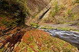 Photographie de l'automne dans les gorges du Chran - Massif des Bauges