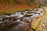 Photographie des bords du Chran en automne dans le Massif des Bauges