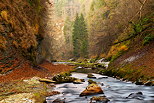 Photographie d'un paysage d'automne dans les gorges du Chran