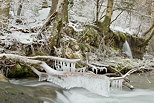 Photographie de stalactites de glace dans un ruisseau du Massif des Bauges en hiver