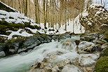 Photo de la rivire et de la fort de la Valserine en hiver