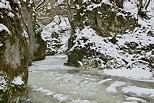 Photo de la rivire du Fornant prise par la glace durant l'hiver 2012