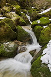 Photo de petites cascades de fin d'hiver dans les ruisseaux de Septmoncel