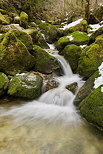 Photographie de petites cascades dans les ruisseaux de Septmoncel