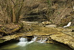 Photo de la rivire du Fornant en fin d'hiver