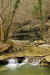 Photographie des bords du Fornant en fin d'hiver