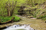 Photographie de la rivire du Fornant au printemps