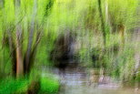 Image d'un paysage abstrait des sous bois le long de la rivière du Fornant