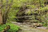 Photographie des bords de la rivire du Fornant au printemps