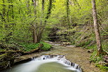 Photo de la rivire du Fornant dans un sous bois printanier