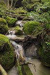 Photo de petites cascades de printemps sur le torrent du Castran