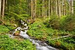 Photo d'un torrent de printemps dans la valle de la Valserine