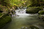 Photo de petites cascades au fil du Bronze dans le Massif des Bornes