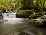 Photograph of the gorges of river Bronze by a springtime day