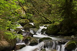 Image d'une succession de petites cascades de printemps dans les Gorges du Bronze