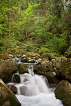 Photo de petites cascades en sous bois dans les Gorges du Bronze
