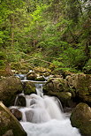 Photo de petites cascades en sous bois dans les Gorges du Bronze