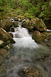 Photographie des Gorges du Bronze au printemps