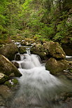 Image des Gorges du Bronze au printemps