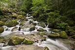 Photographie du ruisseau du Bronze dans le Massif des Bornes