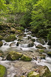 Photo du torrent du Bronze dans le Massif des Bornes