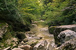 Photo d'un torrent  travers la fort du Haut Jura sous la cascade de la Queue de Cheval