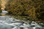 Photographie de la rivire de l'Albarine dans les montagnes du Bugey