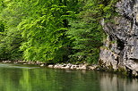 Image with forest and cliff along river Cheran in Massif des Bauges Natural Park