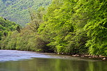 Photo de la rivire du Chran traversant les forts du Massif des Bauges