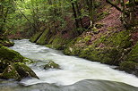 Photographie de la rivire de la Valserine gonfle par des pluies d't