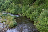 Image des berges de la Loire  Sainte Eulalie en Ardche