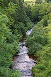 Photo de la Loire en Ardche peu en aval de sa source