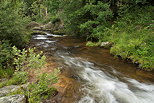 Photographie de la Loire peu aprs sa source dans les montagnes d'Ardche