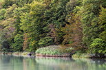 Image des couleurs d't sur les berges du Rhne en Haute Savoie