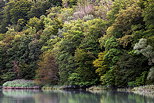 Photo d'un matin d't sur les berges du Rhne en Haute Savoie