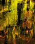 L'or du Rhne