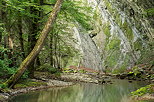 Photographie d'arbres et de rochers sur les bords de la rivire du Fornant