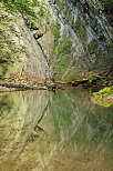 Picture of rocks reflected on the water of Fornant river