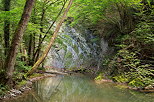 Photo des berges sauvages de la rivire du Fornant en Haute Savoie