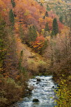 Photo de rivière et deforêt d'automne dans les gorges du Flumen