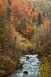 Photo de rivire et defort d'automne dans les gorges du Flumen