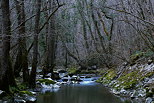 Photo de la rivire du Fornant le dernier jour de l'hiver