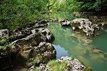 Photographie de rochers submergs ou mergeant dans les Pertes de la Valserine