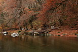 Photograph of the red autumn colors along Fier river