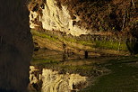 Photograph of reflections on the water of Rhone river near Bassy